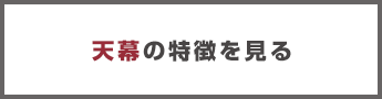 フレームの特徴を見る