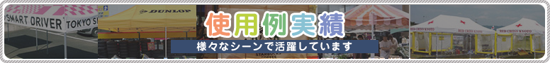 使用例実績